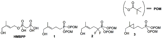 David Stockdale research